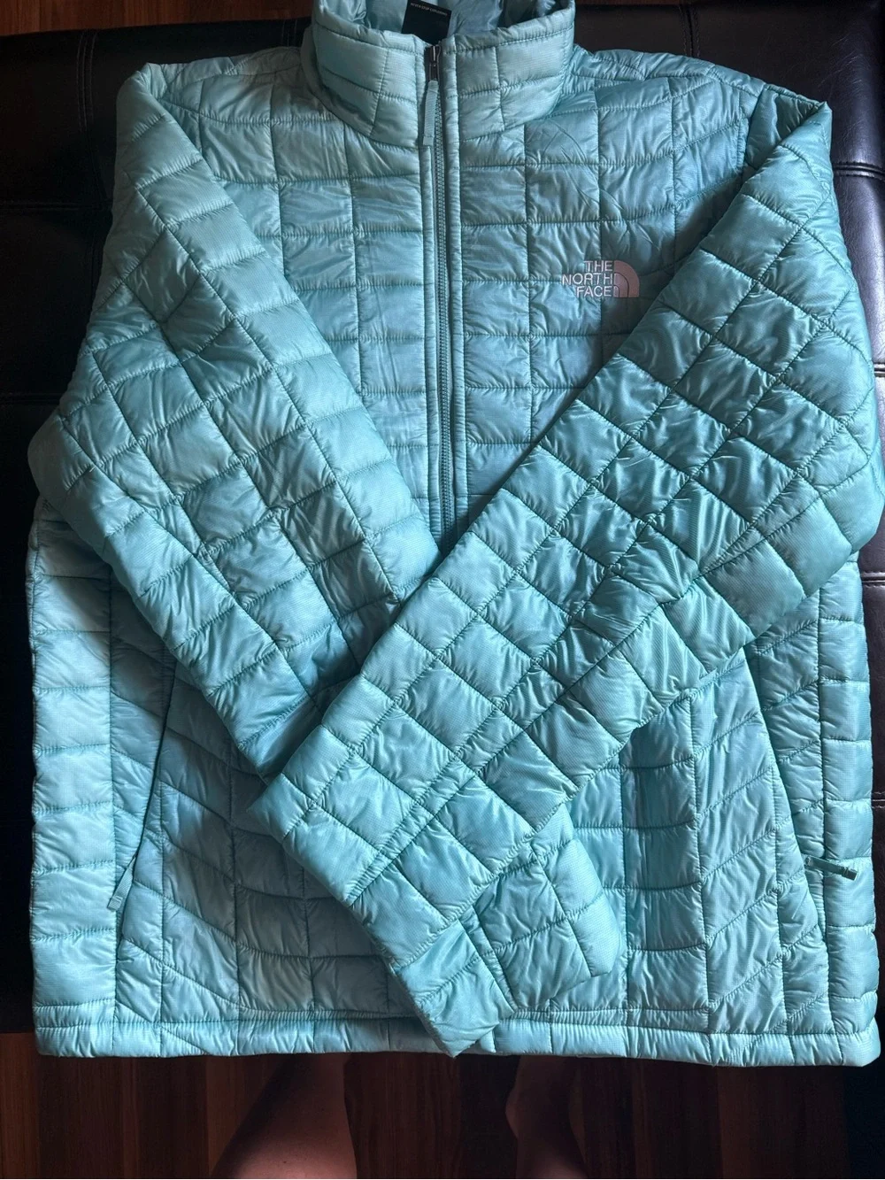 The North Face Men’s Light Aqua Quilted Puffer Jacket